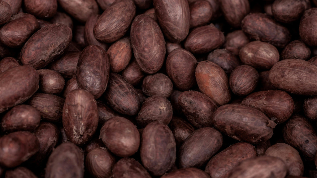 History of Cocoa in India
