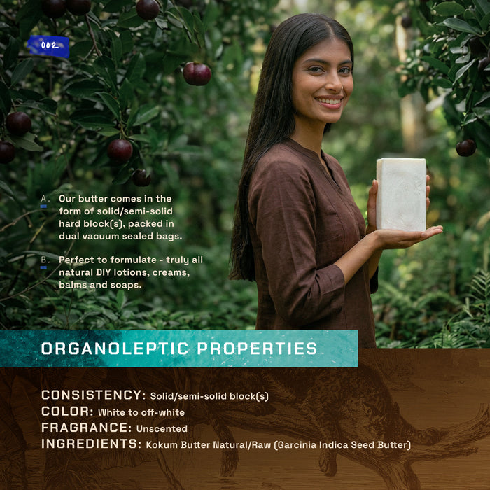ETHERVA® Kokum Butter / Naturally Refined / Firm Texture / Natural Light Scent