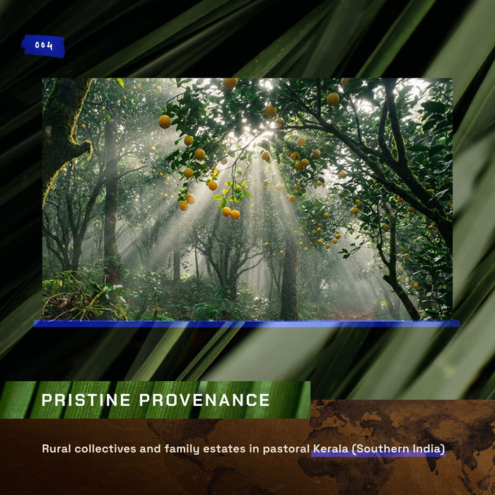 ETHERVA® Lemon Butter / Naturally Refined / Soft Texture & Strong Scent